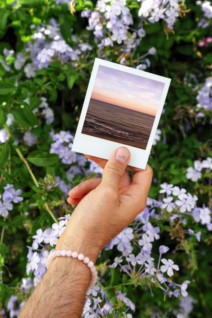 The Daily by Daniel - Polaroid