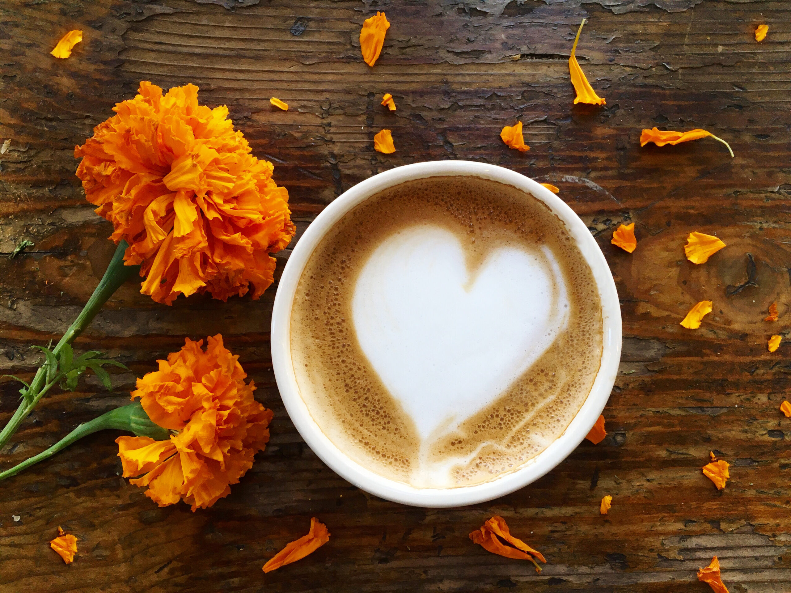 Latte
