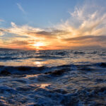 The Daily by Daniel - Maui