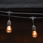 The Daily by Daniel Light Bulbs
