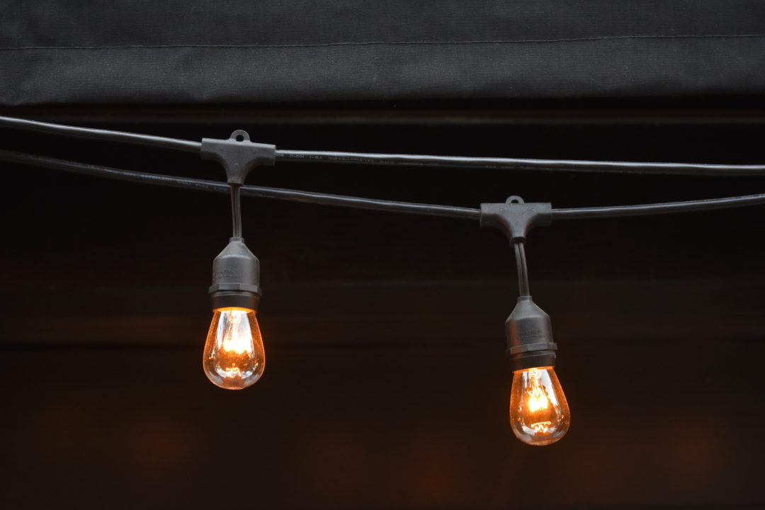 The Daily by Daniel Light Bulbs