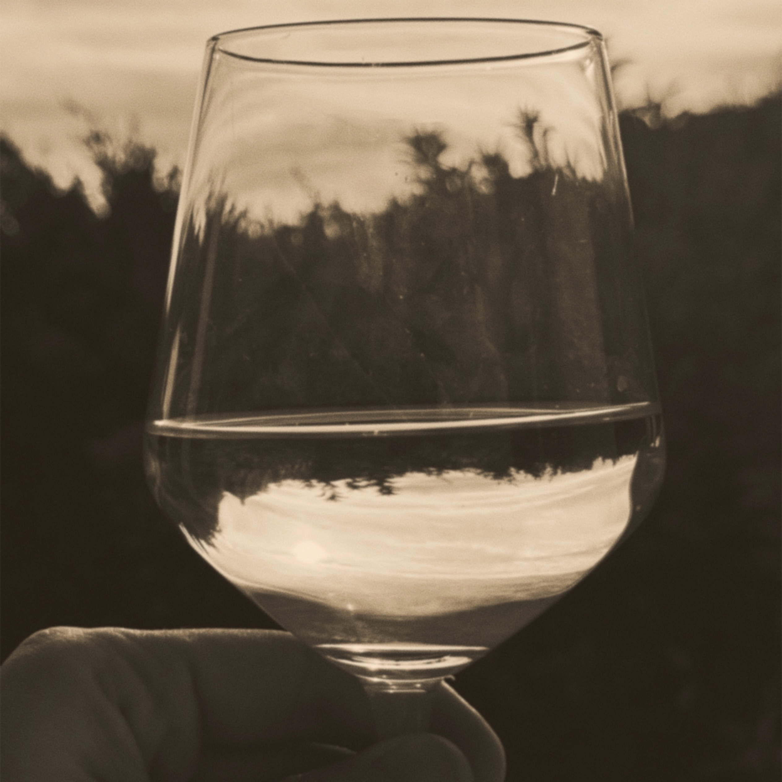 The Daily By Daniel - Wine Glass